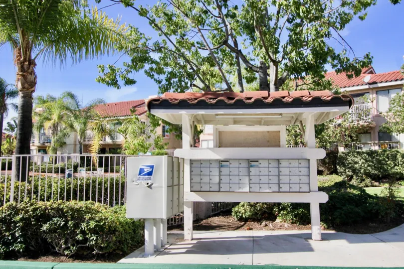 The lovely scene found at the mailboxes in the Floramar community complete with palm trees surrounding the pool on a sunny day