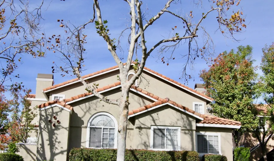 beautiful spacious house in las flores home community in rancho santa margarita california