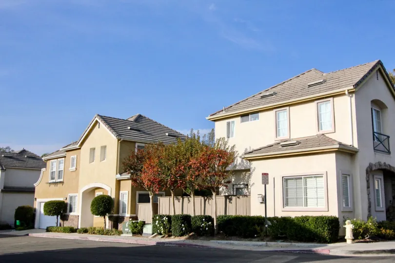 A sunny day by a couple of Magnolia houses, with bushes surrounding them and some trees in the middle