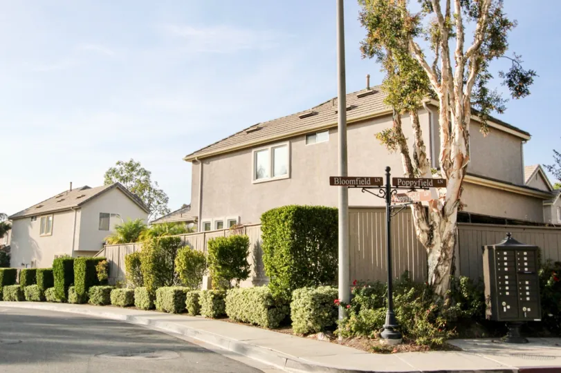 A row of hedges in Magnolia in Rancho Santa Margarita, CA