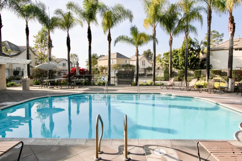 Fabulous looking swimming pool with palm trees and sitting near Magnolia of Rancho Santa Margarita