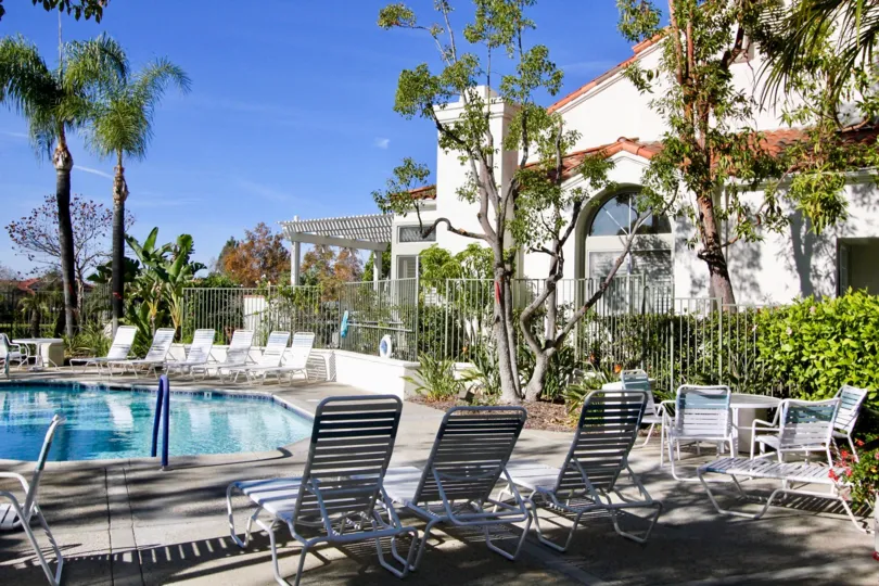 A lovely sunny day at the pool and lounging area in the Marbella neighborhood complete with lovely palm trees
