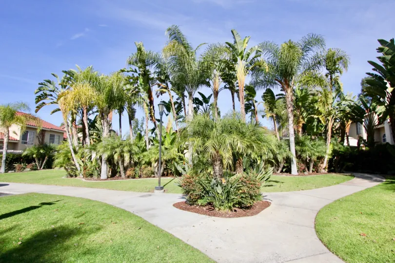 A beautiful sunny day on the walkway of the Mission Greens Community