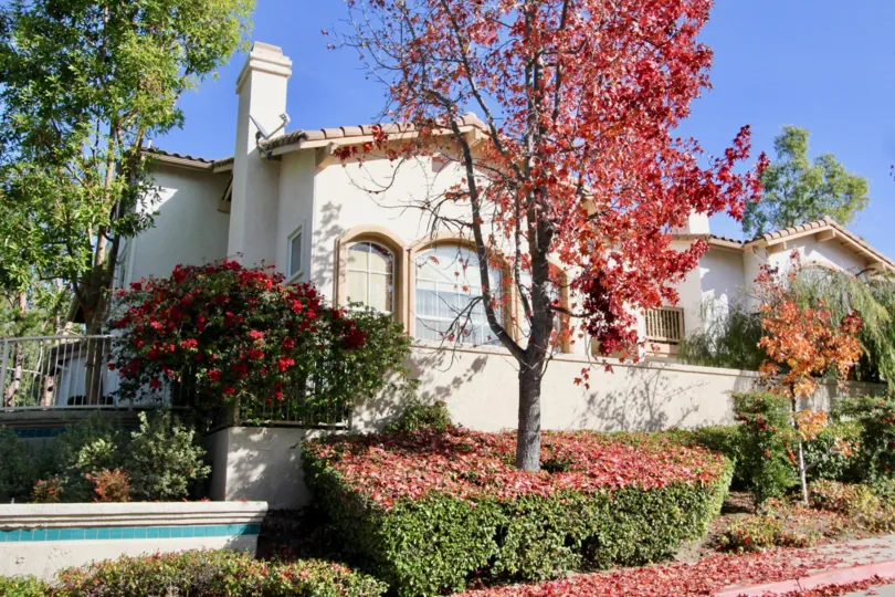 A sunny day by a gated house in the Tierra Montanosa area with trees, bushes, and other plants all around it