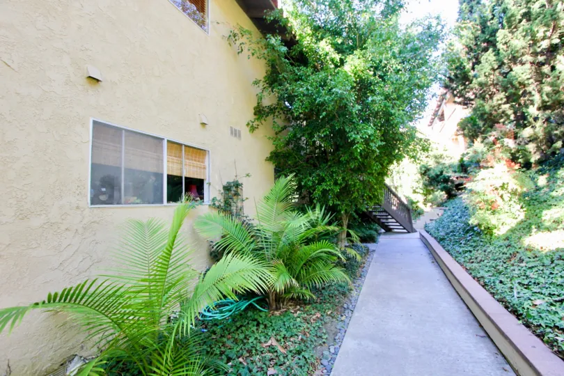 THE HOUSE IN CASA CONTENTA WITH THE UPSTAIRS, PATHWAY, TREES, PLANTS