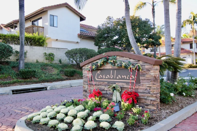 the casablanca is a bunch of flowering area of the san clemente city in california