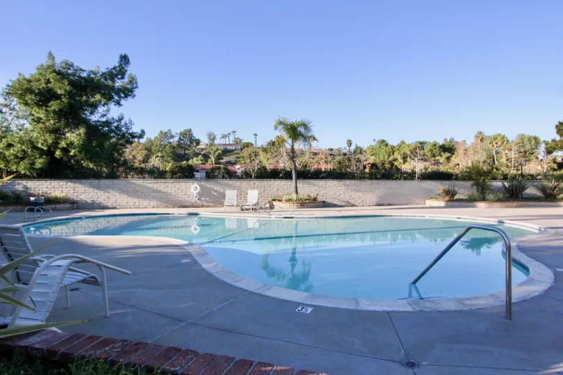 Small swimming pool for family with small kids sarrounded with lush