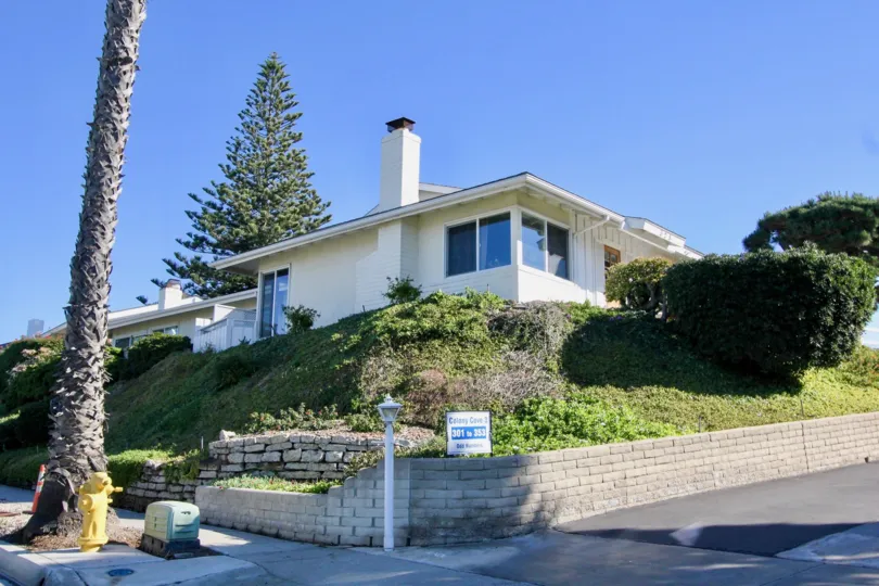 THE APARTMENT IN THE COLONY COVE WITH THE PLANTS, TREES
