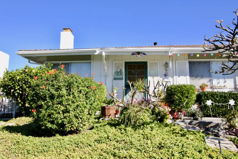 Small bushes in the garden with beautiful look and colorful lights to the roof in Colony Cove.