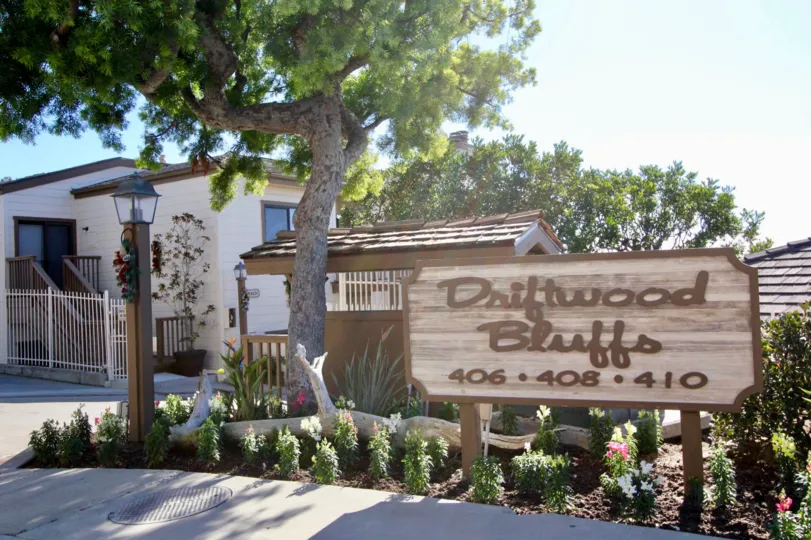 A wooden sign is nearby the tree in the Driftwood Bluffs.
