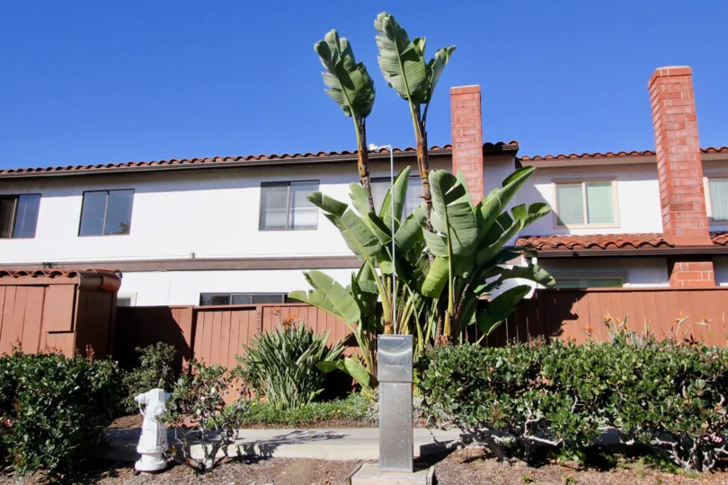 Brick colored wall and curved roof with nice architecture in La Cuesta Cove.