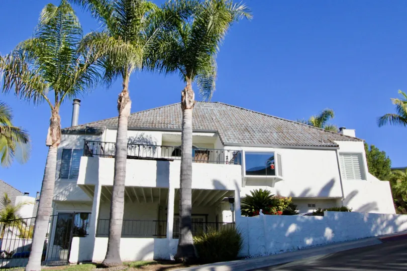 There are some palm trees in front of a house in the Las Marias.