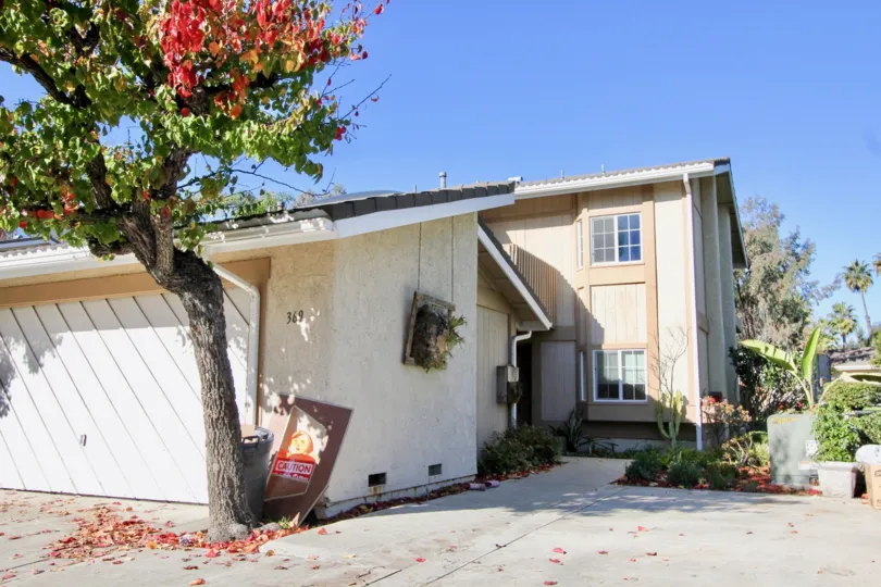 A beautiful tree in the Mira Costa Villas area with a house.