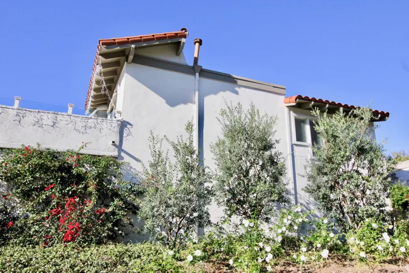 THE SIDE OF THE APARTMENT IN THE OCEAN HILLS COVERED WITH THE FLOWER PLANTS