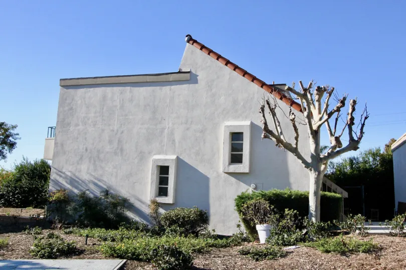 THE SIDE OF THE HOUSE IN THE OCEAN HILLS WITH THE FIG TREE, FLOWER POT, PLANTS