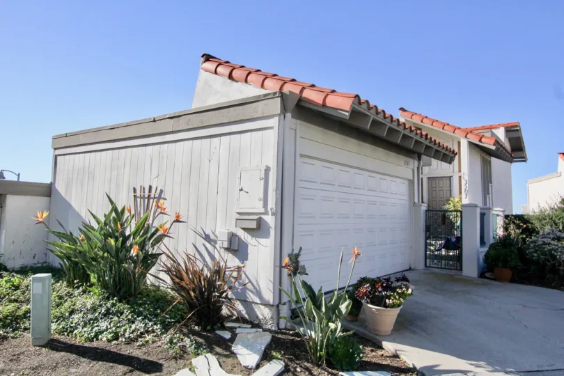 THE SHOP IN THE OCEAN HILLS WITH THE FLOWER POT, PLANTS, SHUTTER