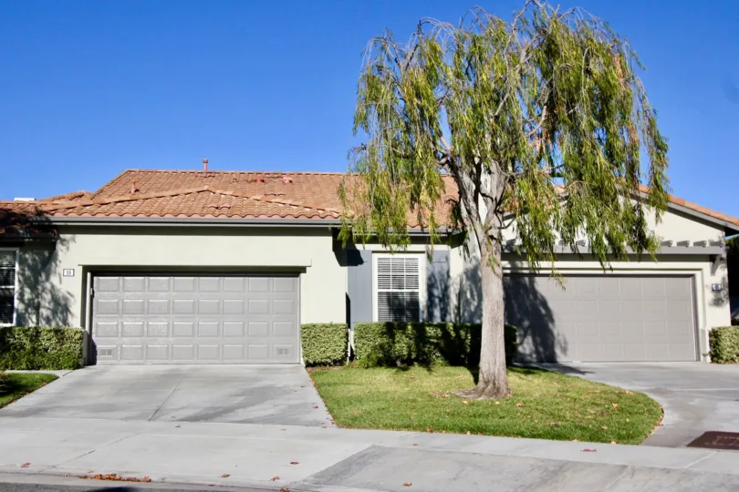A tree with hanging long leaves sits in front of a home at Seagarden homes
