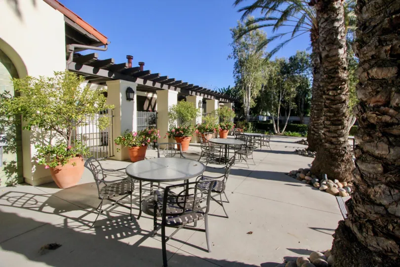 THE HOUSE IN THE SEAGARDEN WITH THE FLOWER POTS, PLANTS, TREES