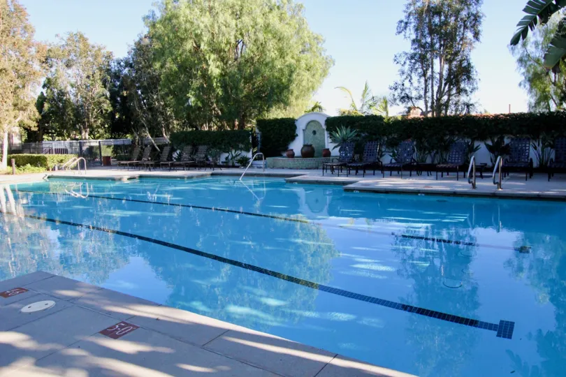THE SWIMMING POOL IN THE SEAGARDEN WITH THE CHAIRS, PLANTS, TREES