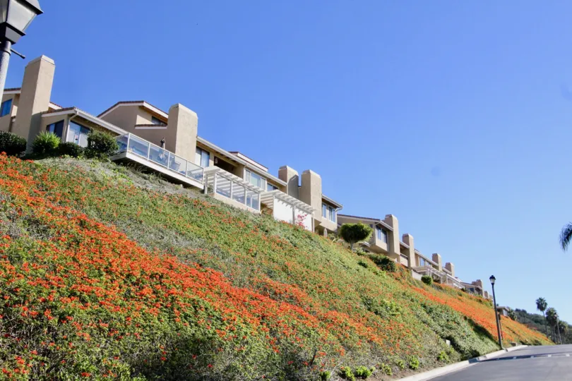 Lush hillside landscaping at the Seaview Townhomes