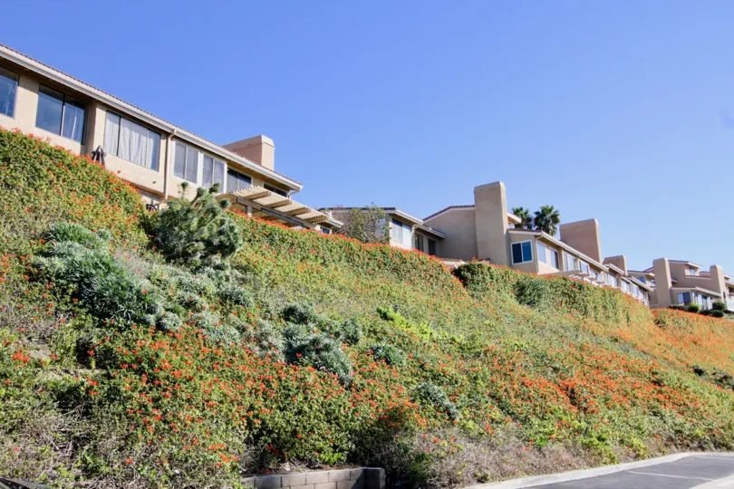 Slanty hill house with glass windows in Seaview Townhomes.
