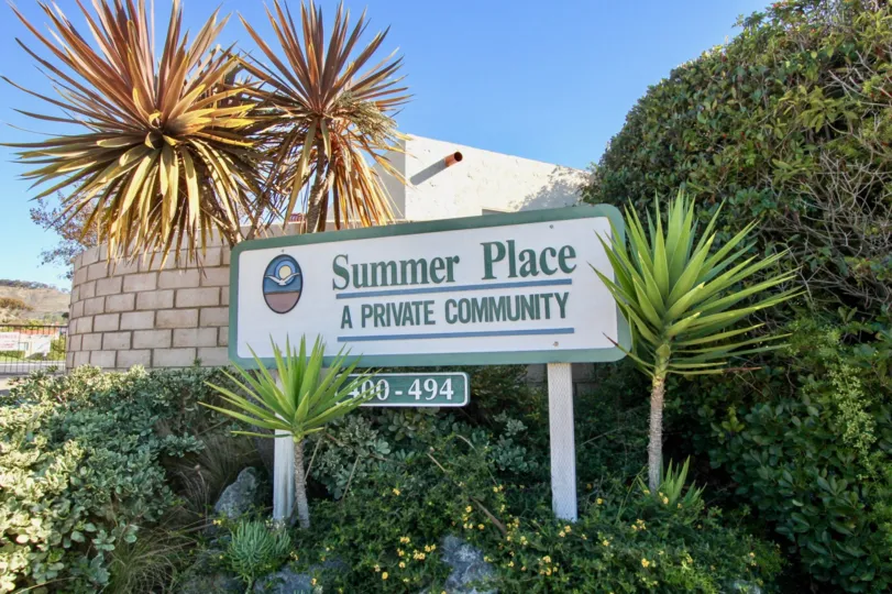 the summer place is the palm tree of san clemente city in california