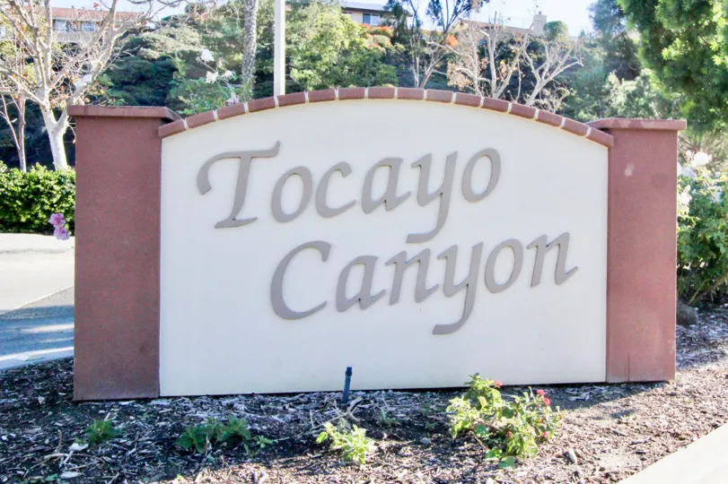 Tocayo Canyon is located in the Tocayo Canyon area of San Clemente, California. Below are the current homes for sale in Tocayo Canyon. San Clemente Real Estate is one of the most affordable beach towns in Orange County. Here you will find beach close and 