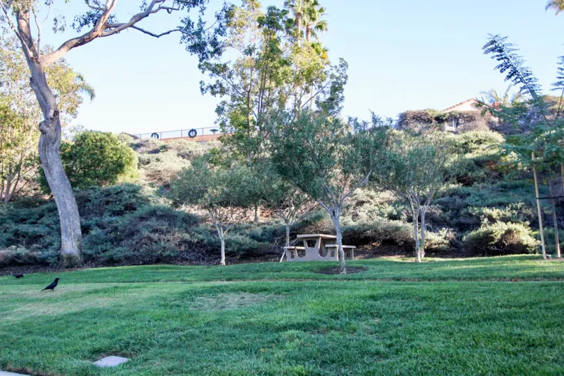 View of beautiful park and scenery under blue skies in Villamar.