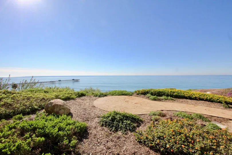 A sea shore in the Vista Pacifica Villas with small flowers.