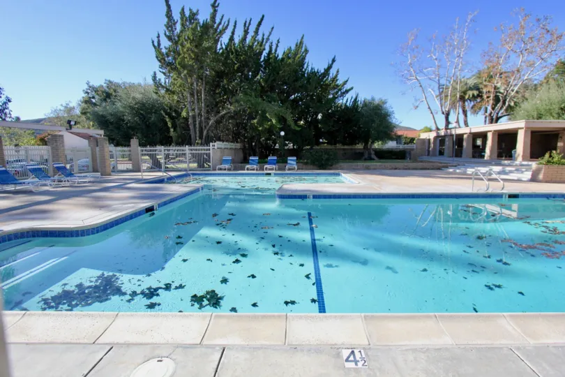 A sunny day by a Casitas Capistrano pool with leaves in it and a cabana and trees behind it