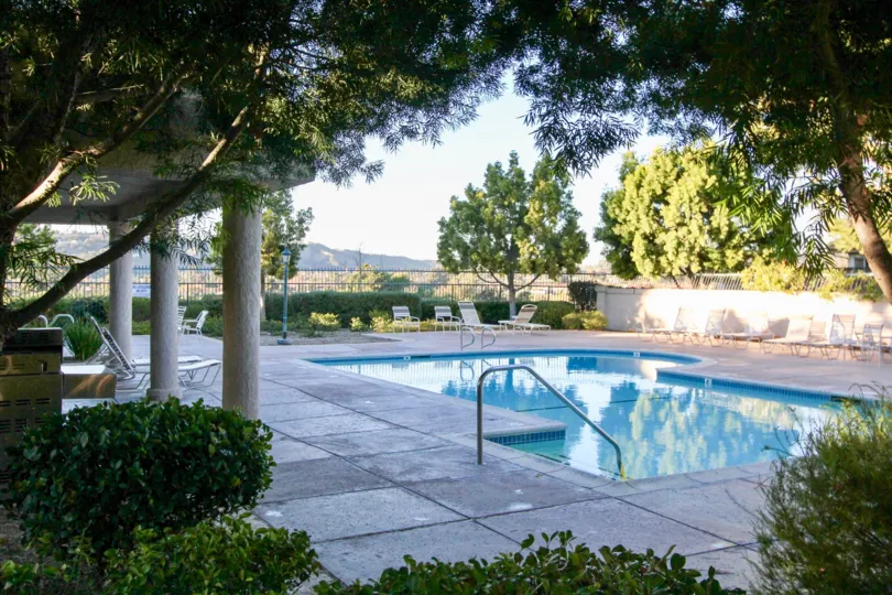 A sunny day by a pool in the Mesa Vista North community with many trees and bushes surrounding it