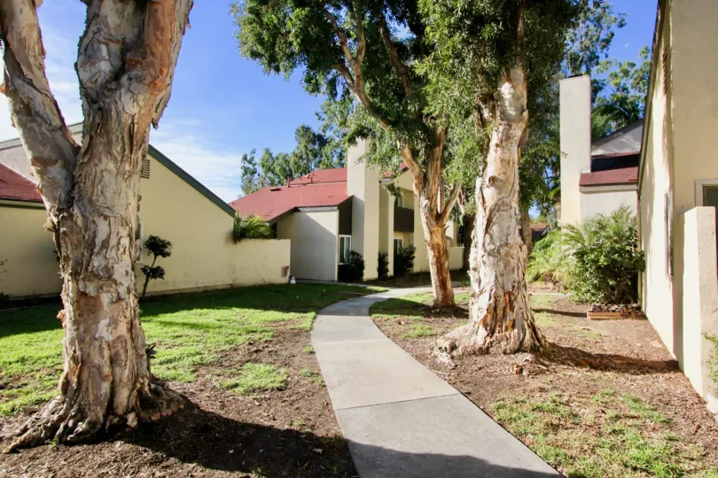 Trees and sidewalk at Sun Hollow in San Juan Capistrano, CA