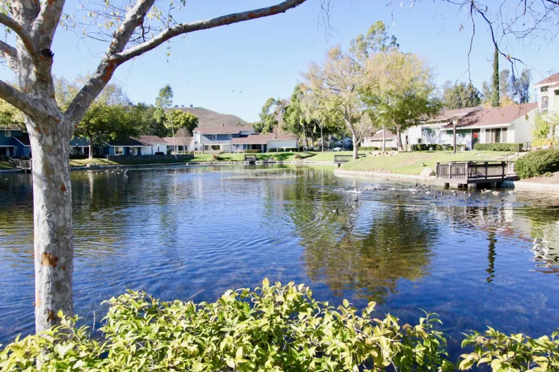 A sunny day in the Alta Murrieta park with children's playground and picnic tables