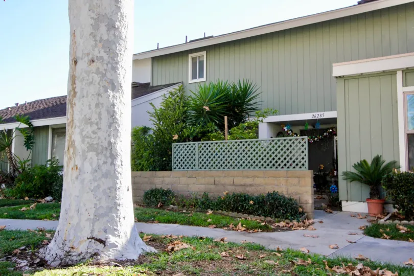 Fallen leaves cover the grass at the Village San Juan Townhomes in San Juan Capistrano, California