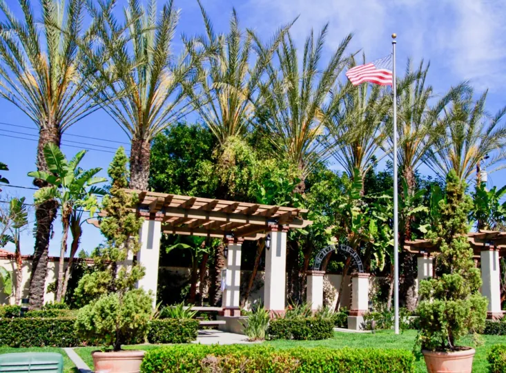 A clear day in the Avenue E with some palm trees and flag.
