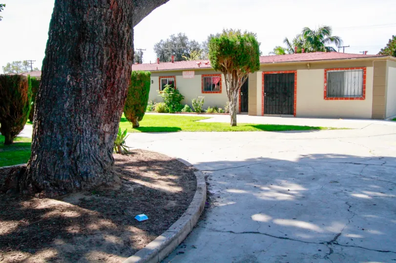 A morning in the Bishop Manor with a tree and lawn.
