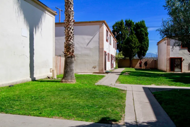 A sidewalk between buildings of Bishop Manor with pine trees on a sunny day