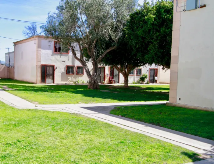 A sidewalk between buildings in Bishop Manor with trees on a sunny day.