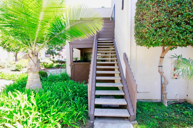 A beautiful day in the Cabrillo Park with a staircase nearby the tree.