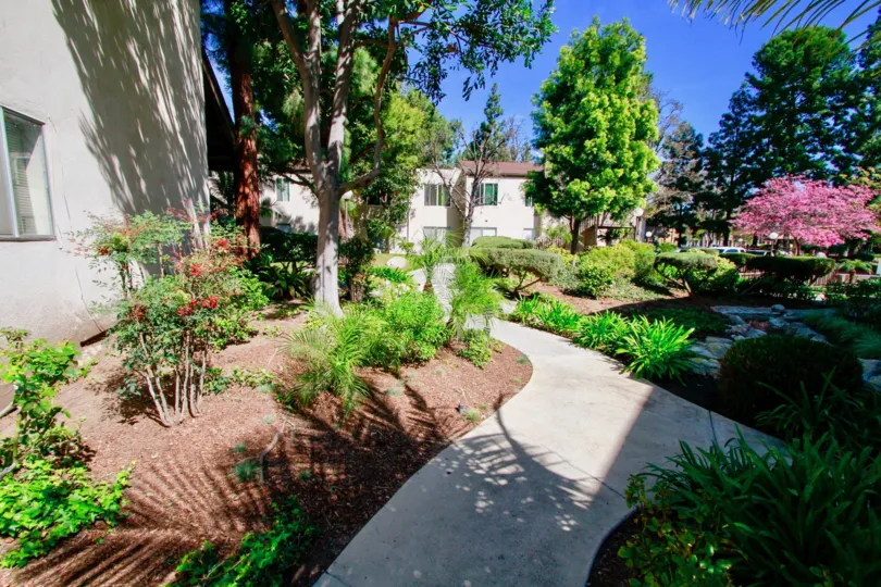 A path in Cabrillo Park with trees and shrubs on a sunny day