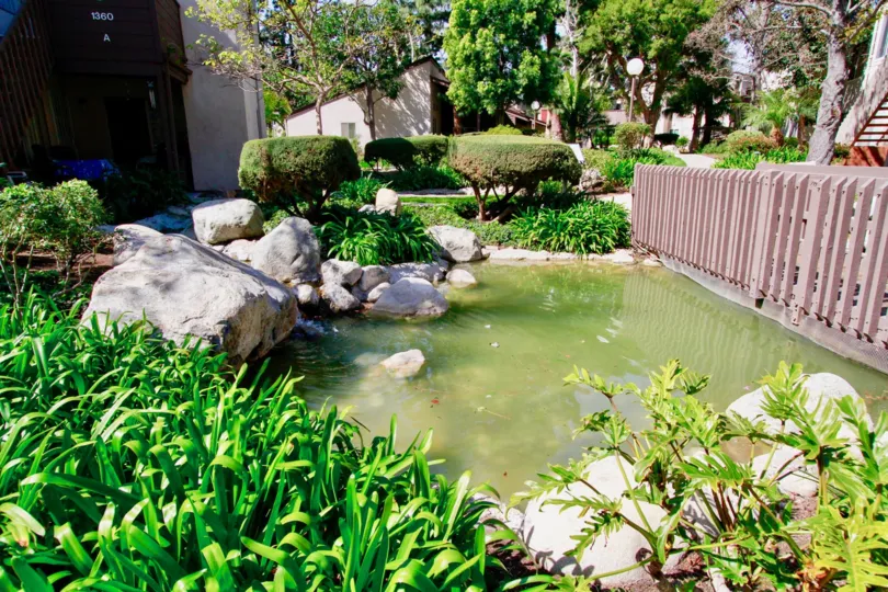 A nice day in the Cabrillo Park with a pond and plants.
