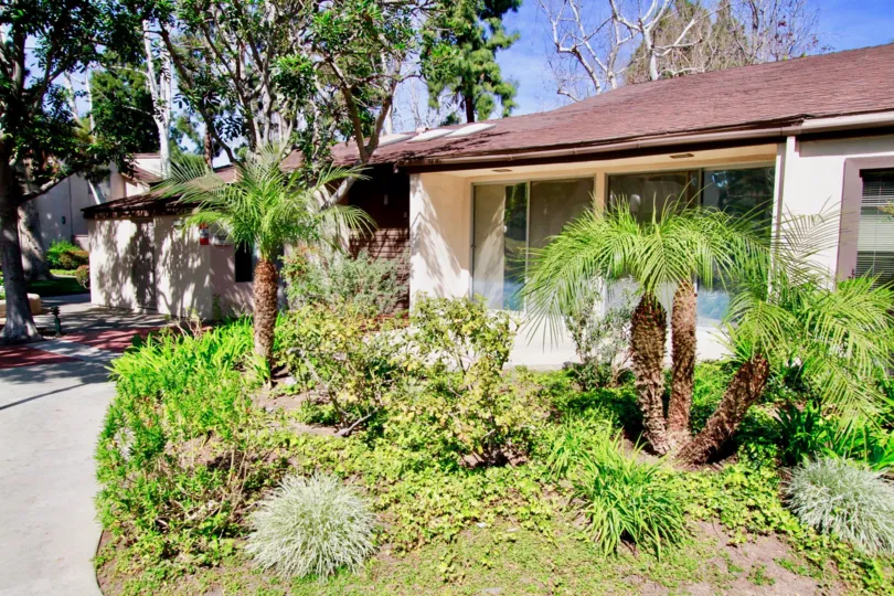 A sunny day in the Cabrillo Park with a cottage and palm trees.