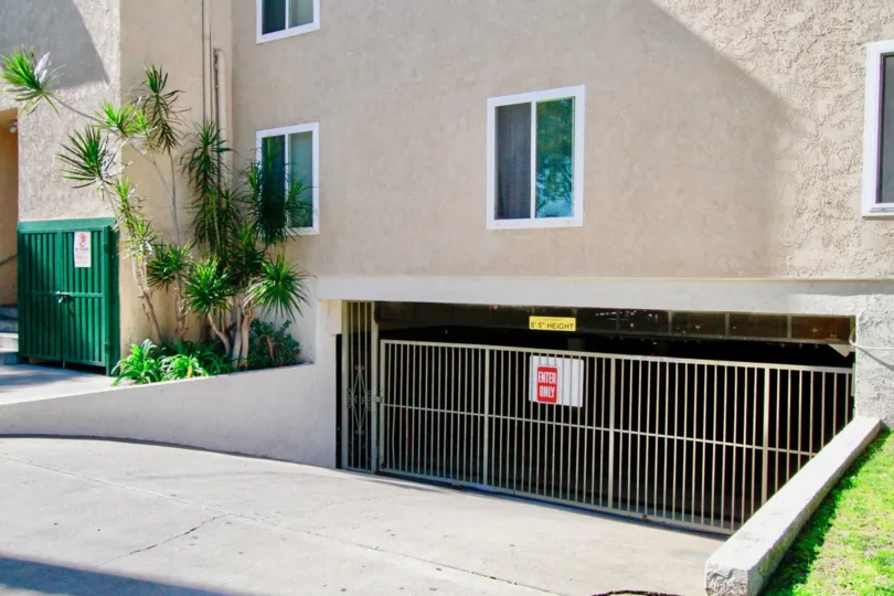 clean and clear the garage in front of the building in French Park Condos