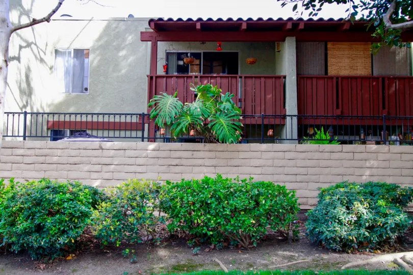 A great day in the MacArthur Village in front of a house with plants.