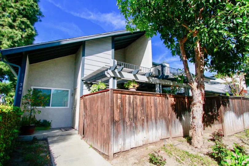 trees and plants in fornt of the compound in Mountain View