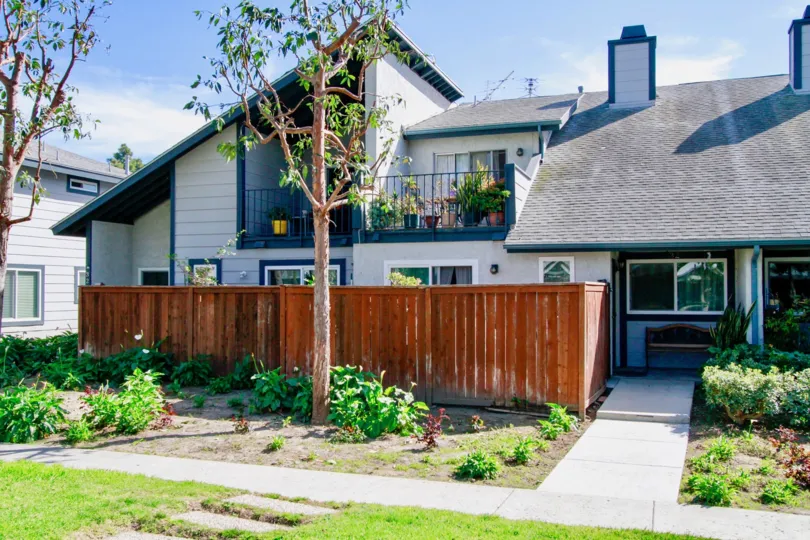 trees and plants in front of the house in Mountain View