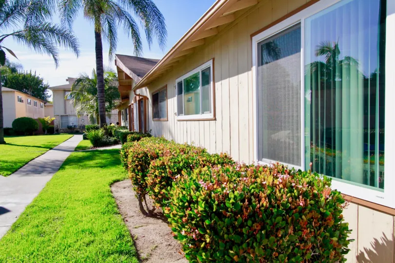 trees and plants in the garden in front of the building in Regency Villas