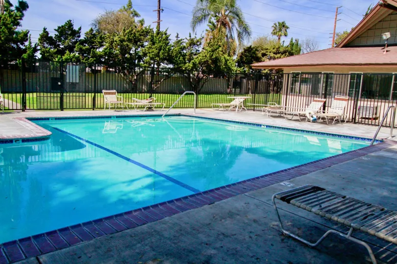 swimming pool decorated with chairs and plants around in Saddlebark Park Villas