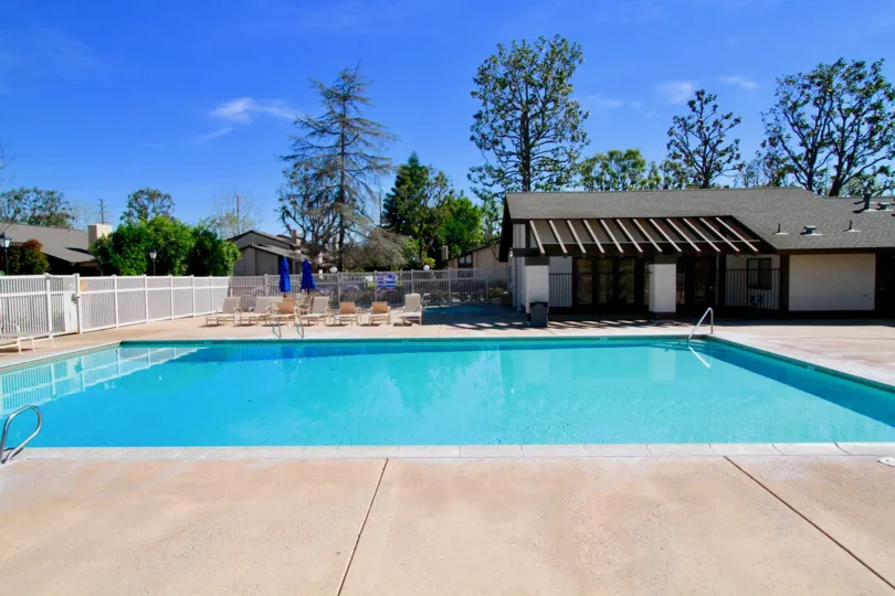 swimming pool decorated with chairs and plants around in Shady Hollow