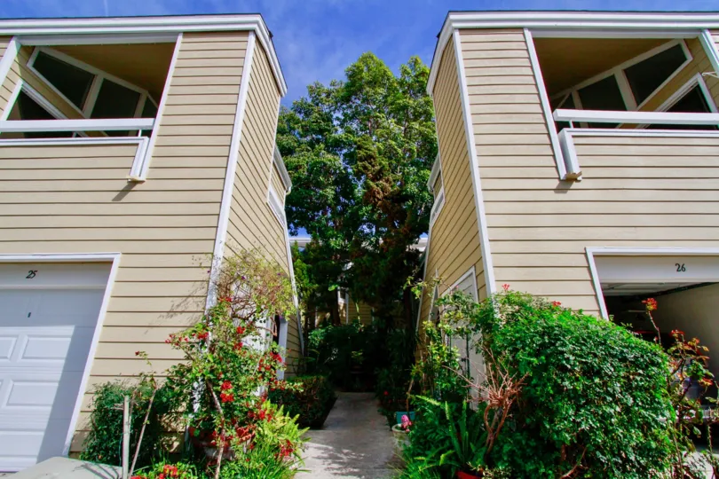 A bright day in the South Coast Springs with a path between buildings.